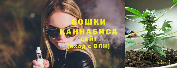 ГАЛЛЮЦИНОГЕННЫЕ ГРИБЫ Балахна