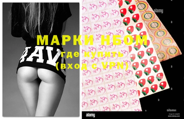ГАЛЛЮЦИНОГЕННЫЕ ГРИБЫ Балахна